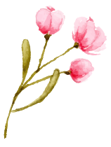 花イラスト