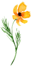 花イラスト