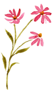 花イラスト