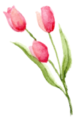 花イラスト