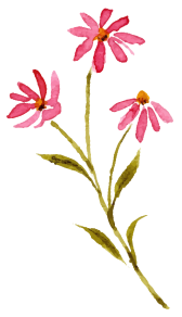 花イラスト