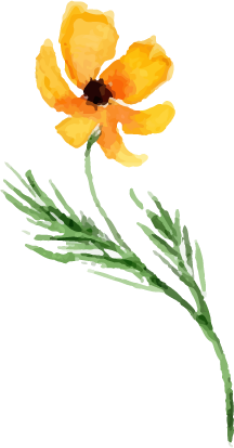 花イラスト