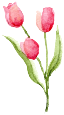 花イラスト