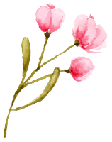 花イラスト