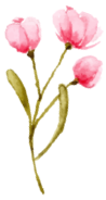 花イラスト