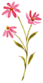 花イラスト