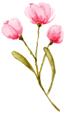 花イラスト